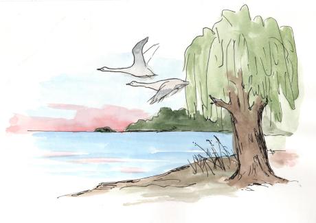 Logo Wasser- und Bodenverband 'Uckerseen'