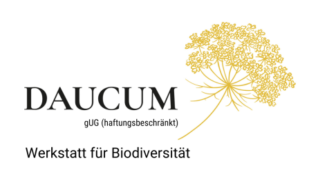 Logo DAUCUM gUG (haftungsbeschränkt)